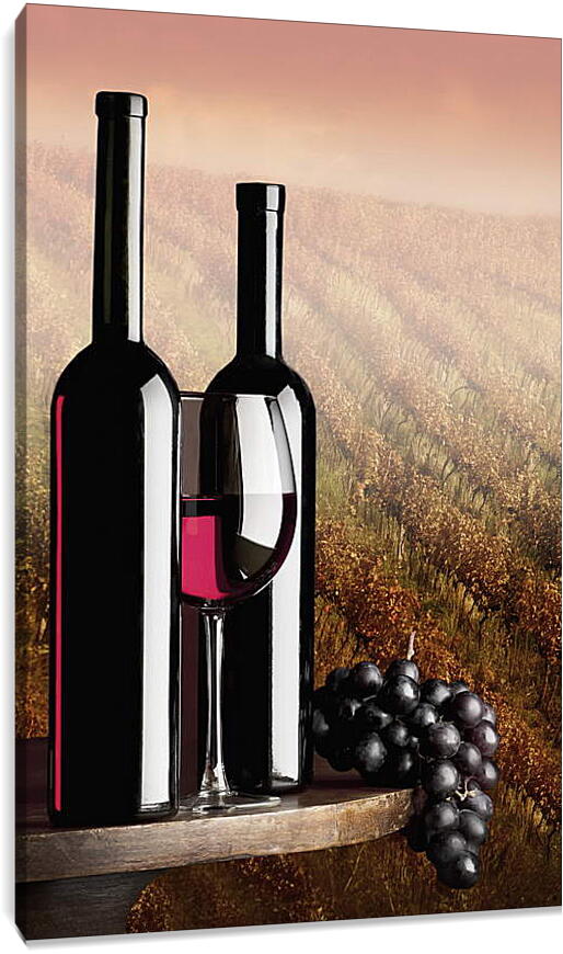 Постер и плакат - Две бутылки красного вина