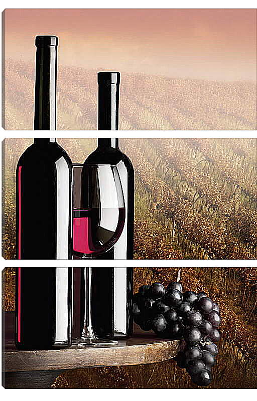 Модульная картина - Две бутылки красного вина