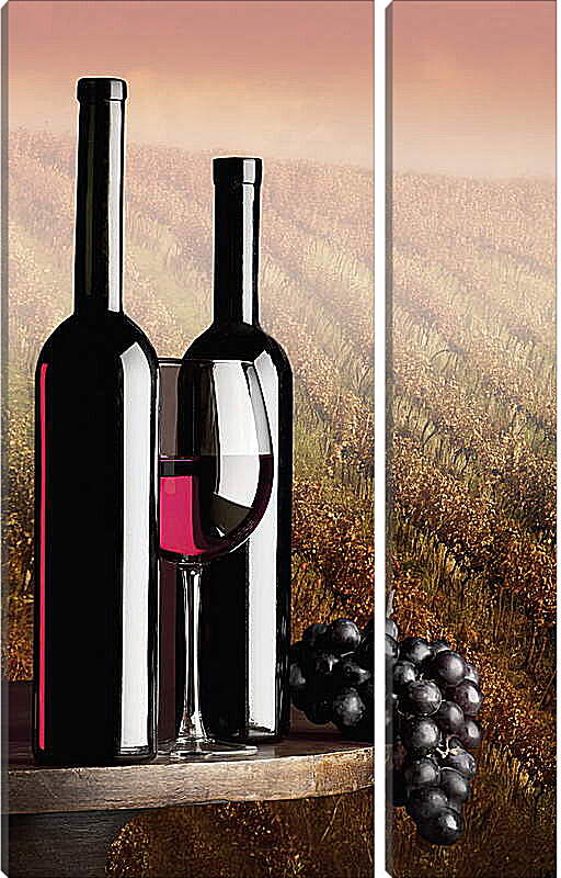 Модульная картина - Две бутылки красного вина