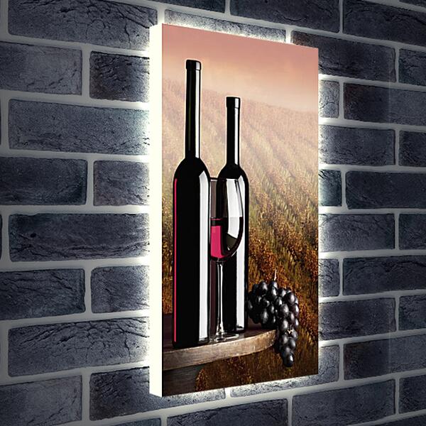 Лайтбокс световая панель - Две бутылки красного вина