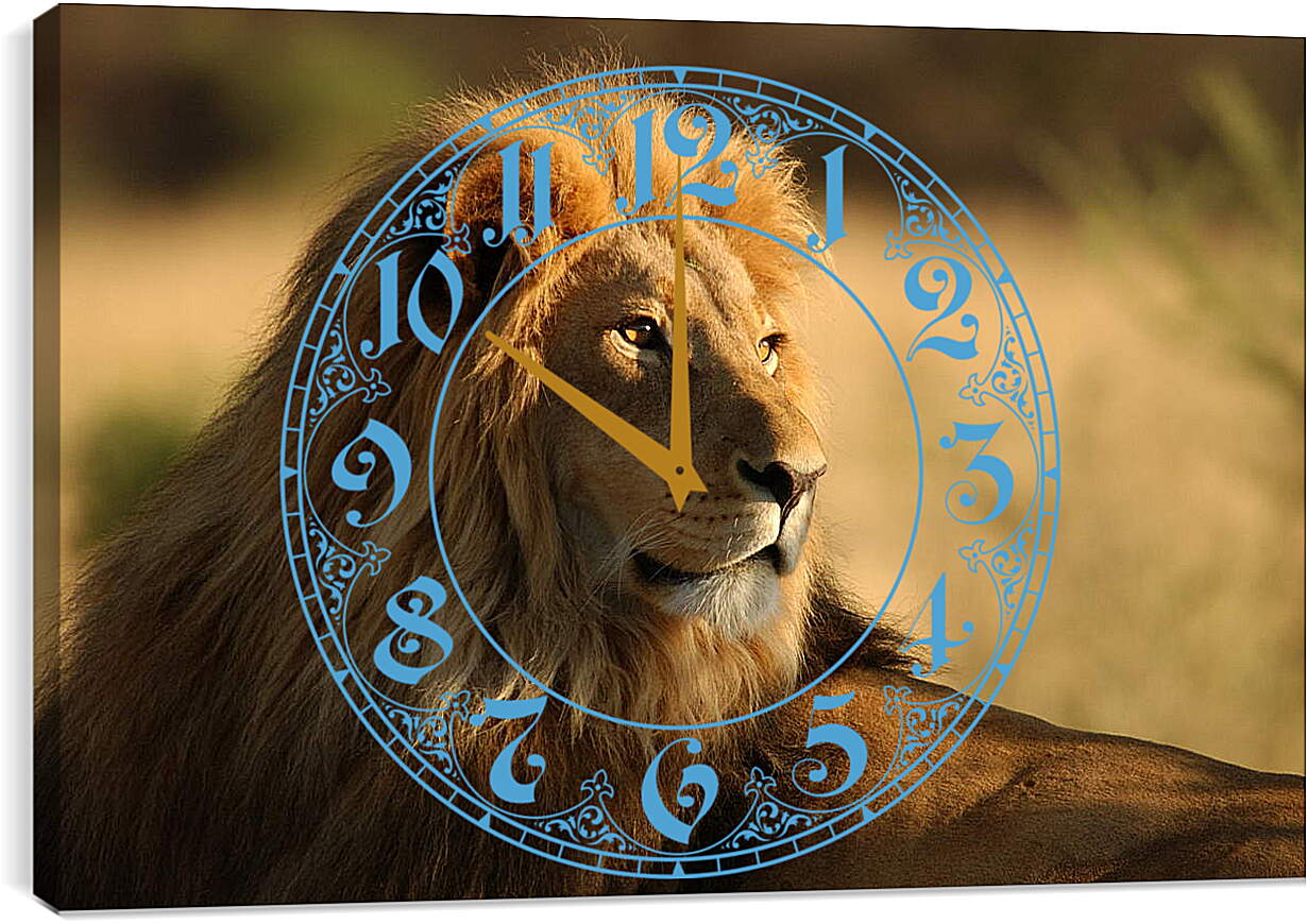 Часы картина - Лев в саванне
