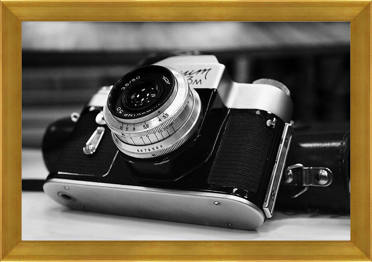 Картина в раме - Старый фотоаппарат