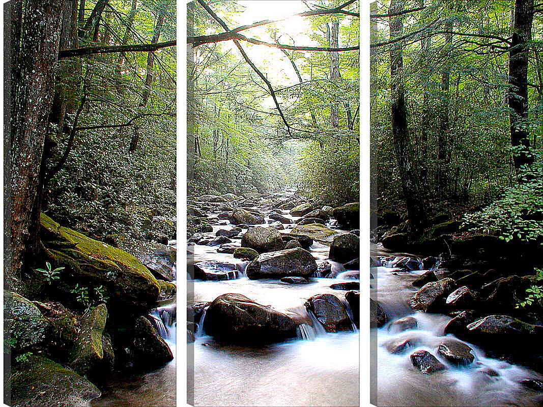 Модульная картина - Ручей в лесу
