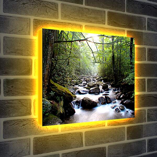 Лайтбокс световая панель - Ручей в лесу
