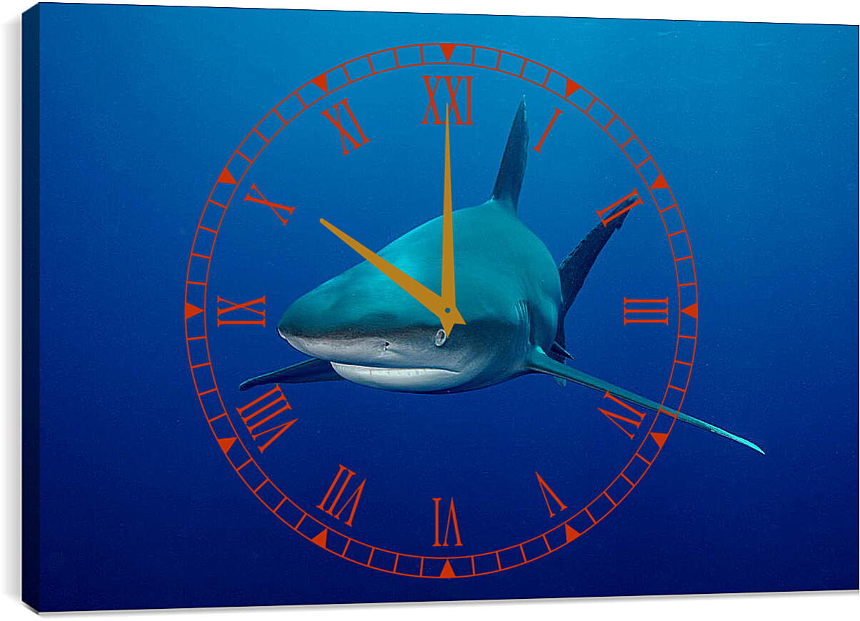 Часы картина - Акула
