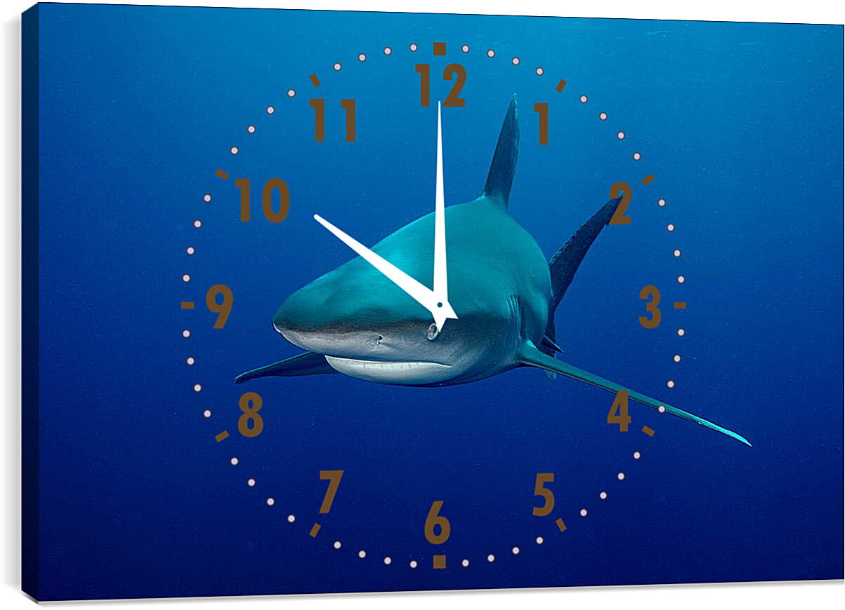 Часы картина - Акула
