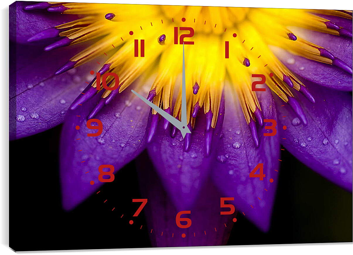 Часы картина - Красивый цветок
