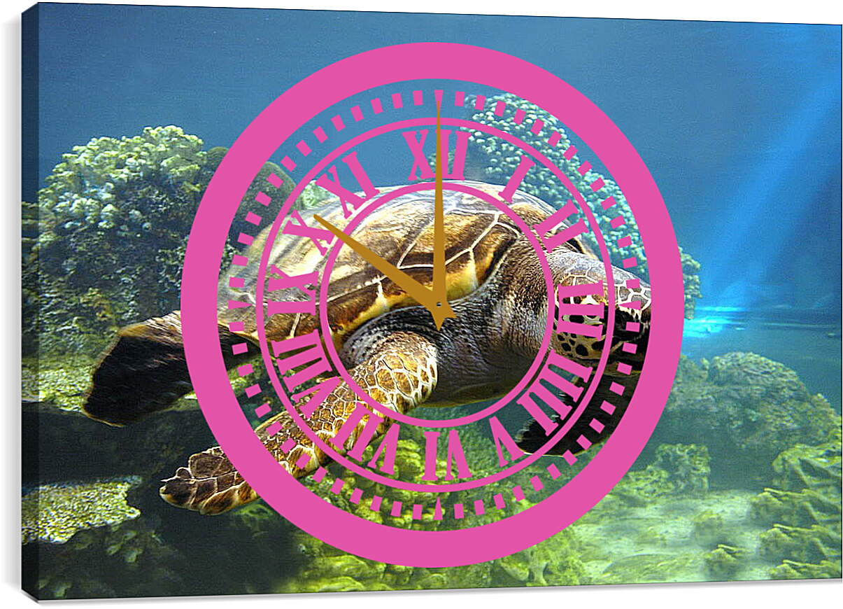 Часы картина - Морская черепаха
