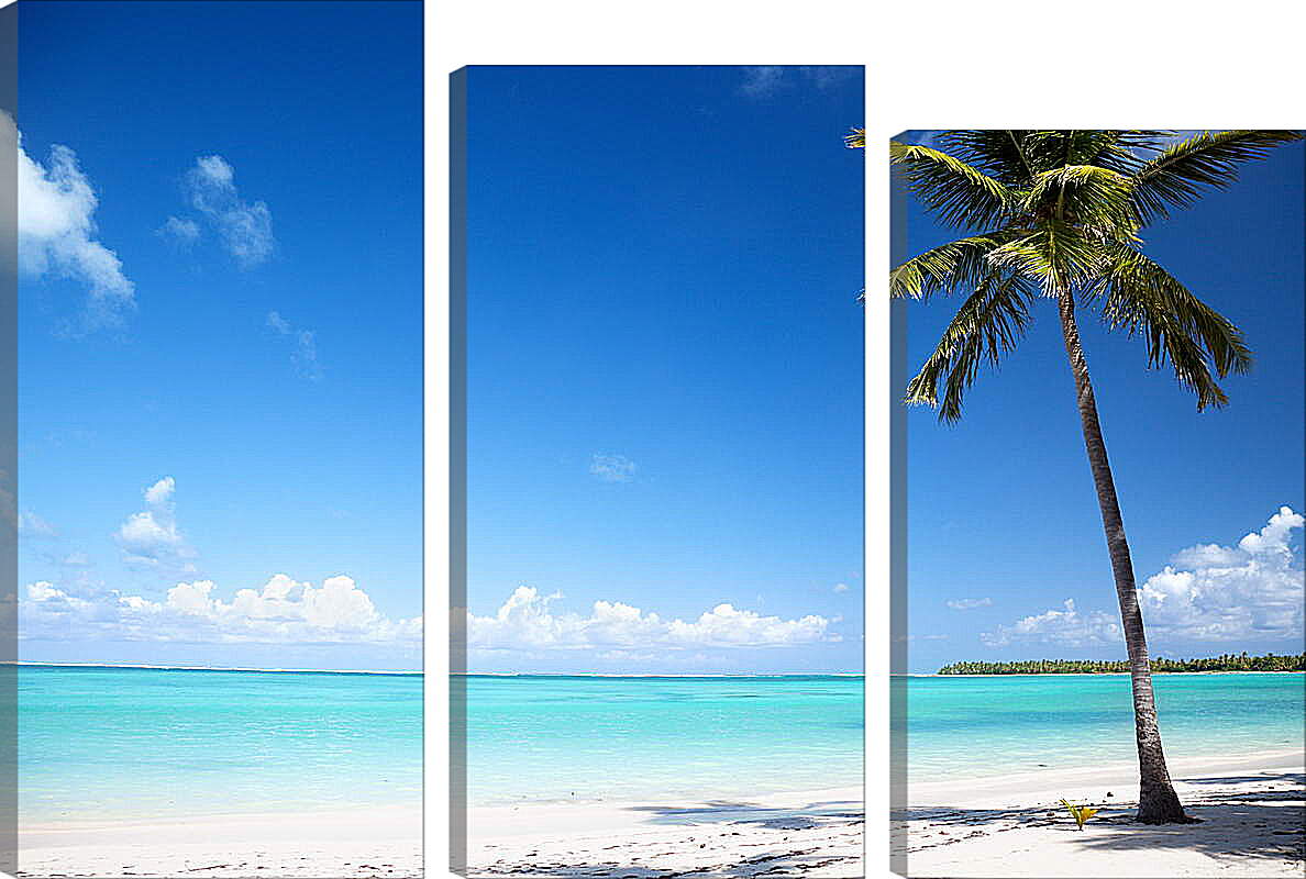 Модульная картина - Пальма на райском пляже
