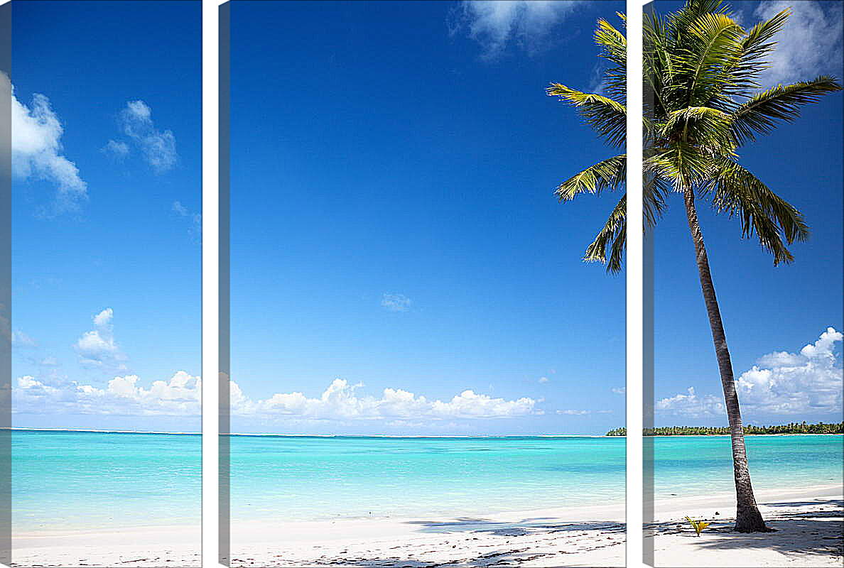 Модульная картина - Пальма на райском пляже
