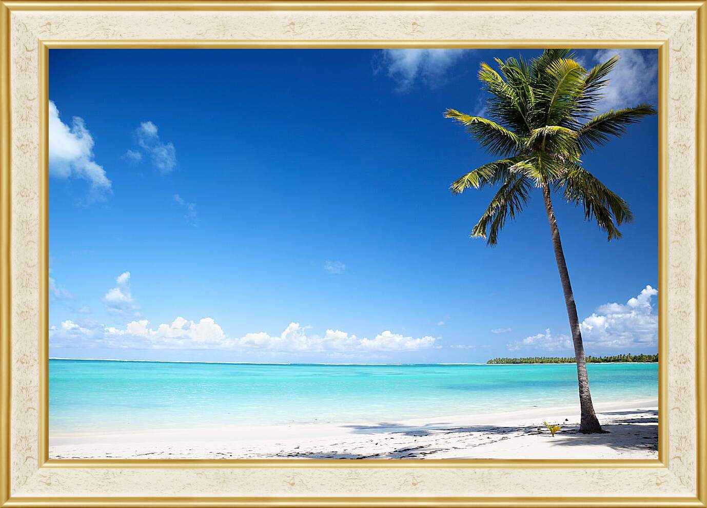 Картина в раме - Пальма на райском пляже
