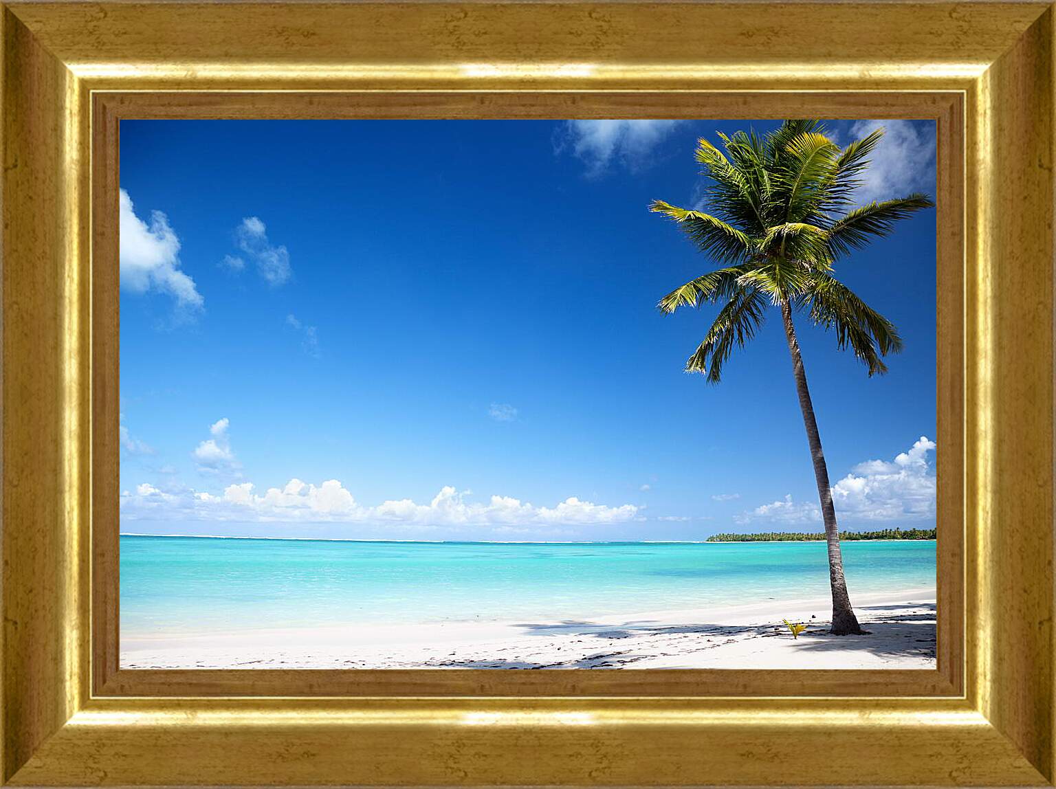 Картина в раме - Пальма на райском пляже
