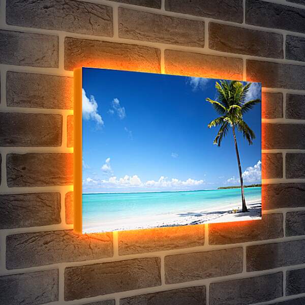 Лайтбокс световая панель - Пальма на райском пляже
