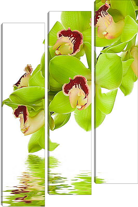 Модульная картина - Орхидеи над водой
