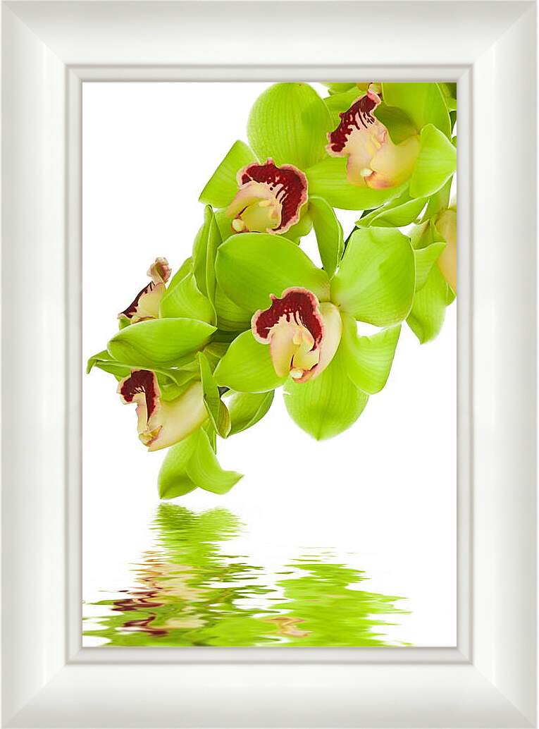 Картина в раме - Орхидеи над водой
