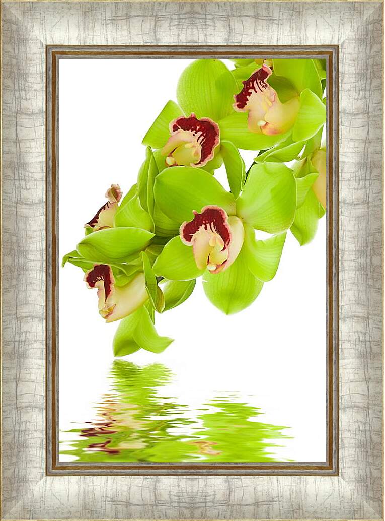 Картина в раме - Орхидеи над водой
