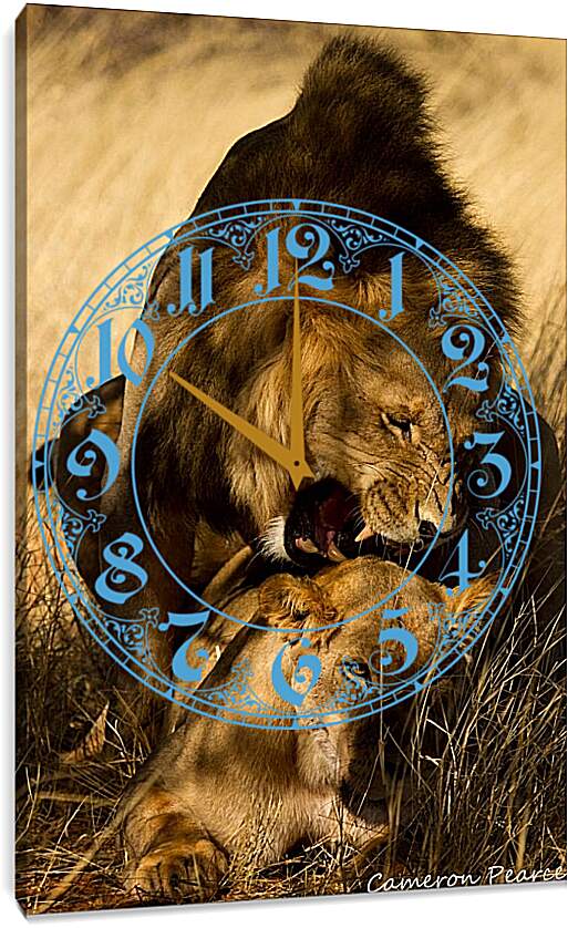 Часы картина - Лев и львица