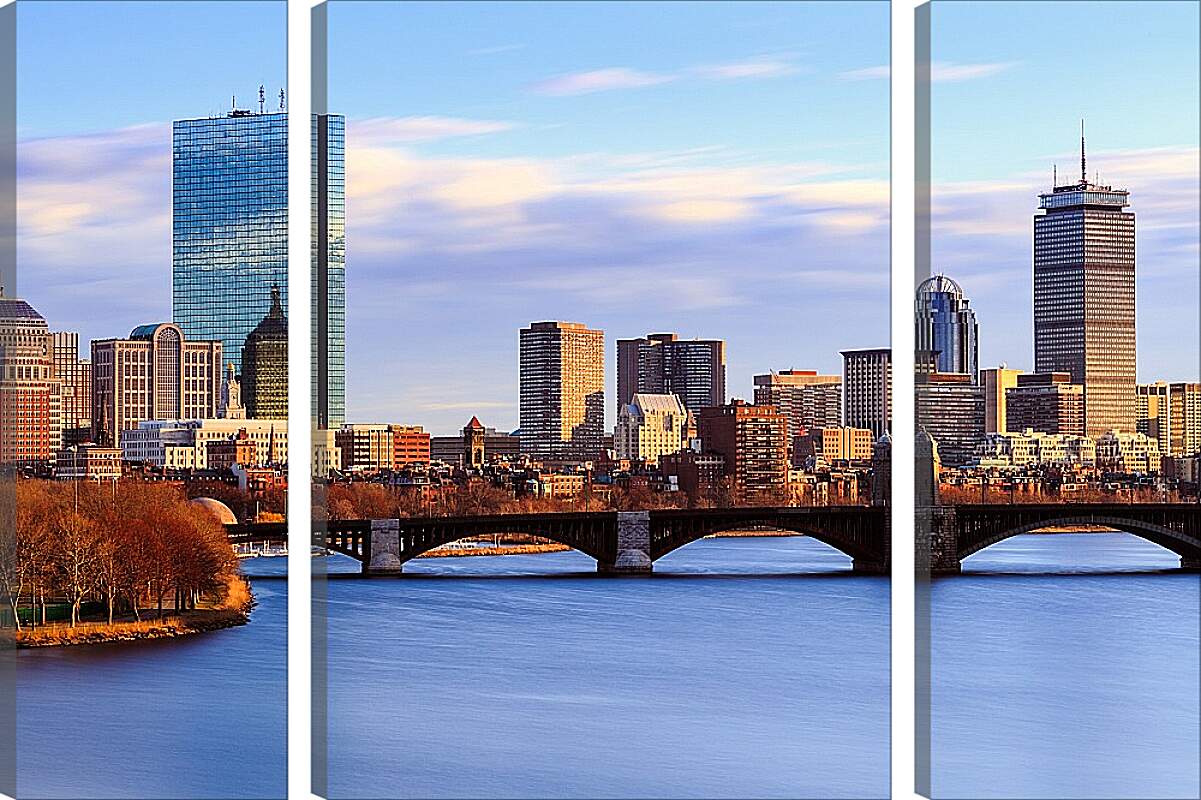 Модульная картина - Boston