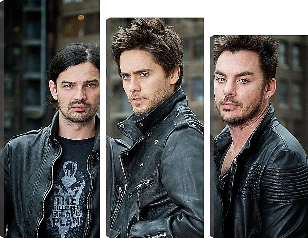 Модульная картина - Джаред Лето. 30 seconds to mars
