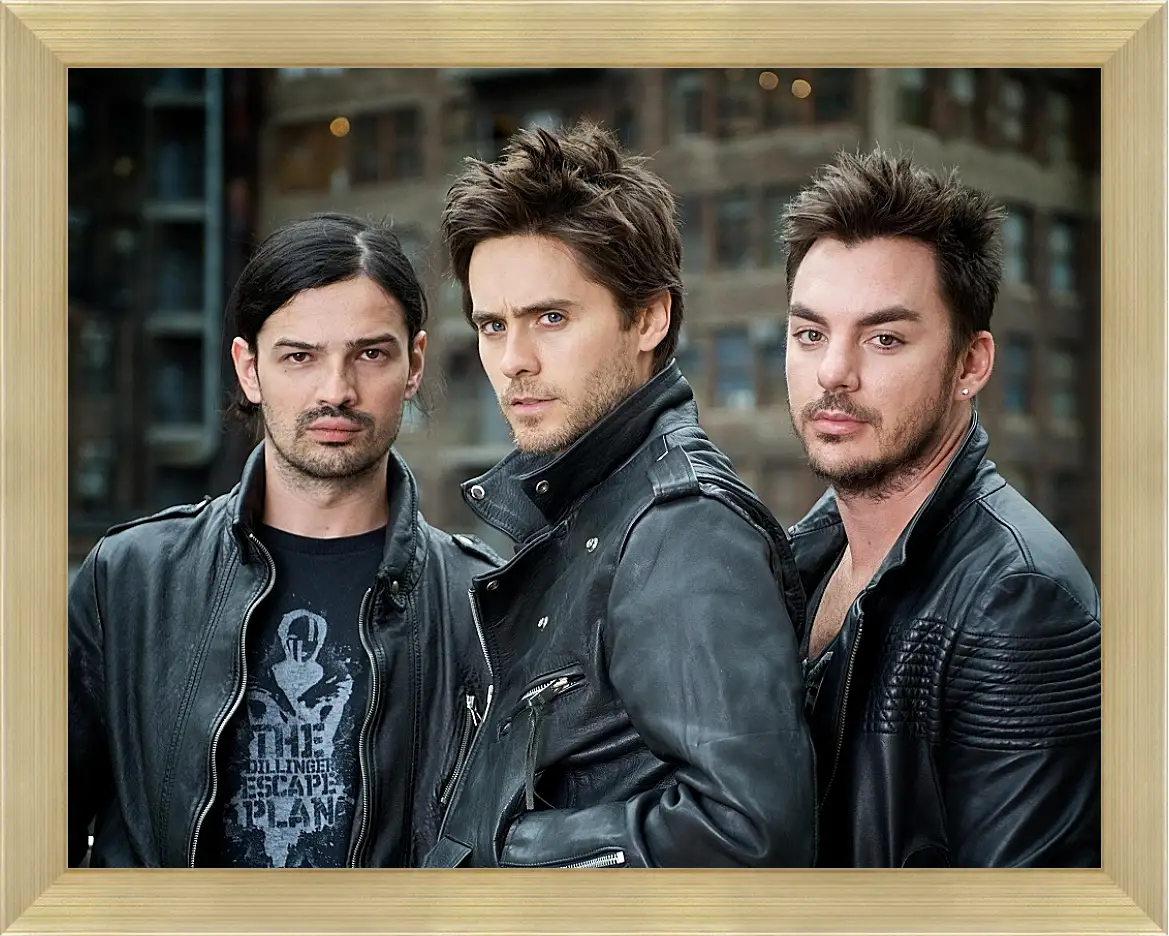 Картина в раме - Джаред Лето. 30 seconds to mars