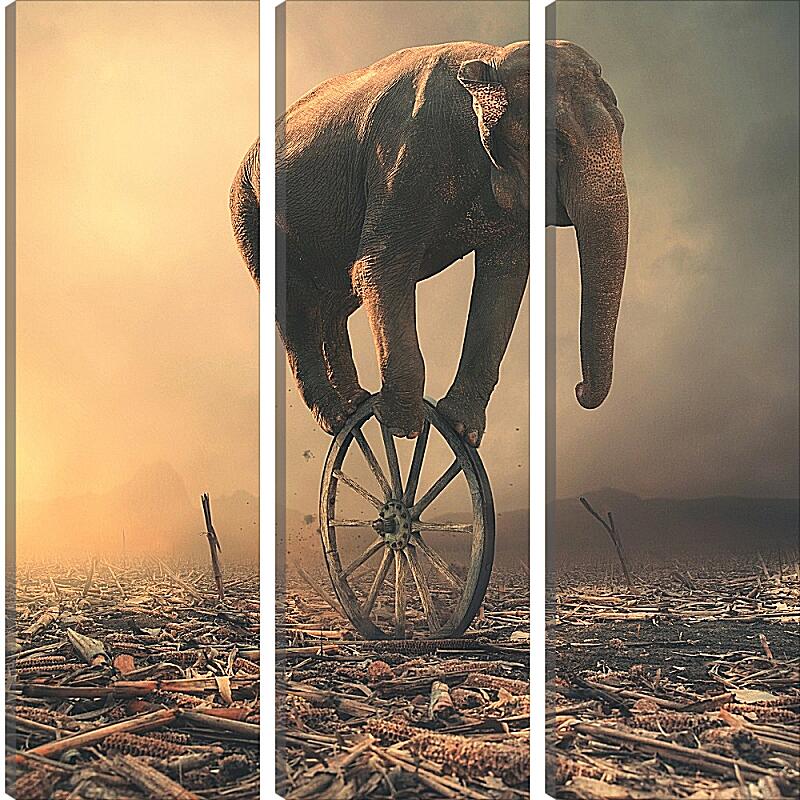 Модульная картина - Слон на колесе