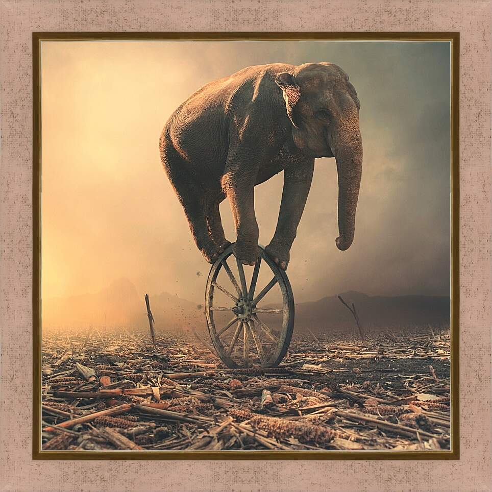 Картина в раме - Слон на колесе