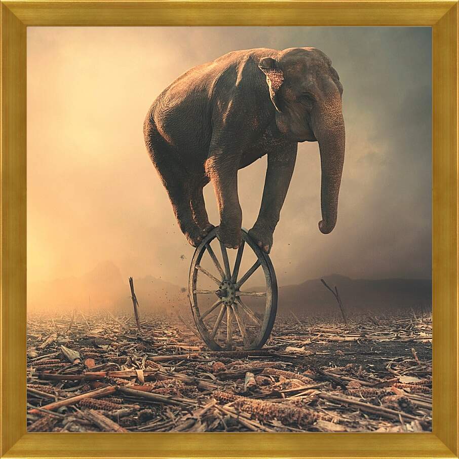 Картина в раме - Слон на колесе