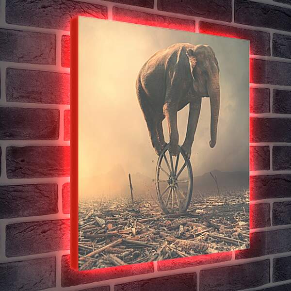 Лайтбокс световая панель - Слон на колесе