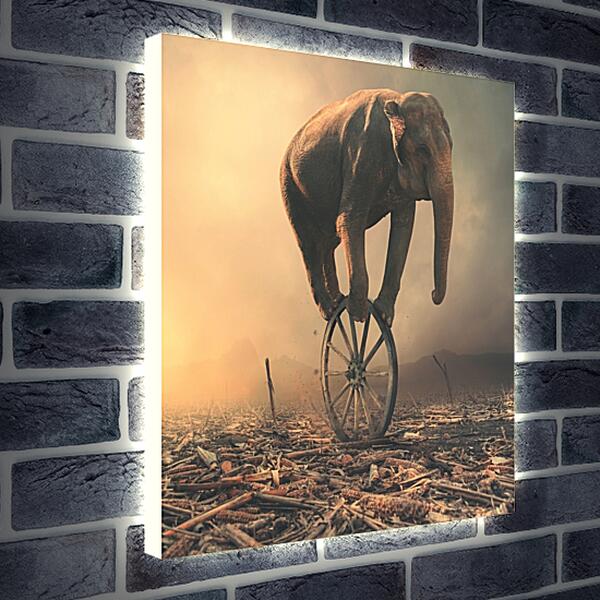 Лайтбокс световая панель - Слон на колесе