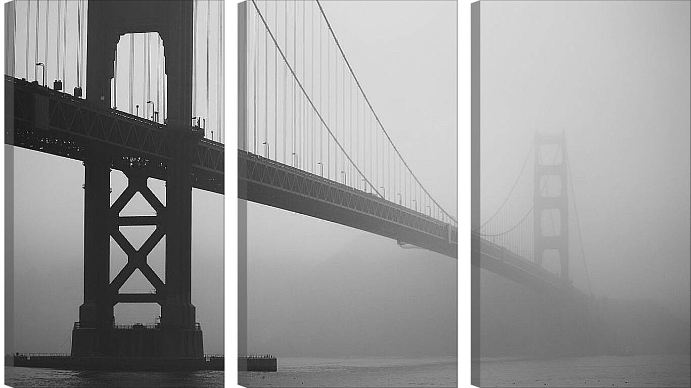Модульная картина - Мост. Туман