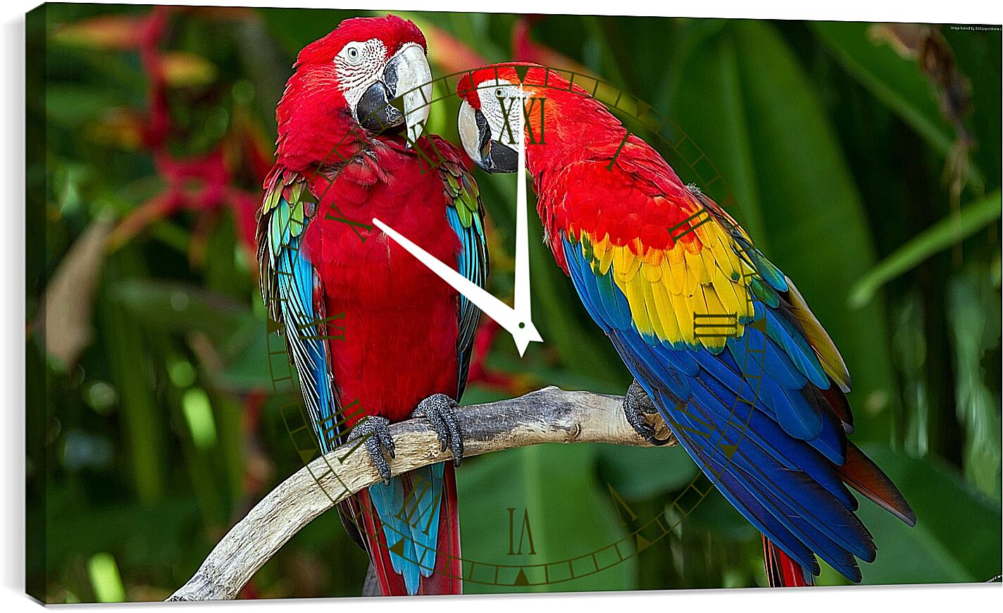 Часы картина - Попугайчики