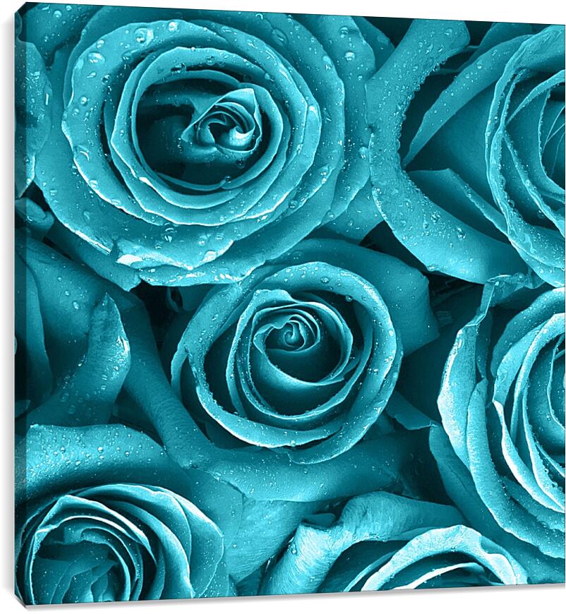 Постер и плакат - Голубые розы