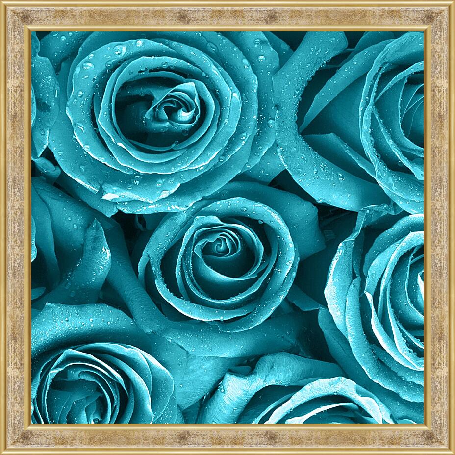 Картина в раме - Голубые розы