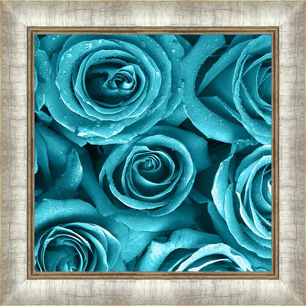 Картина в раме - Голубые розы