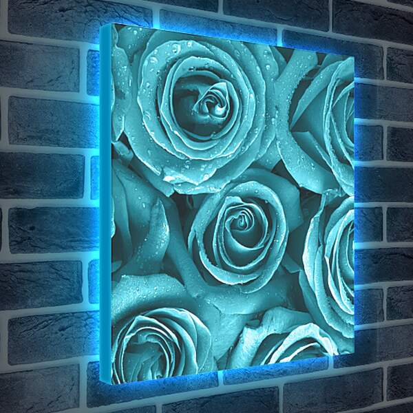 Лайтбокс световая панель - Голубые розы