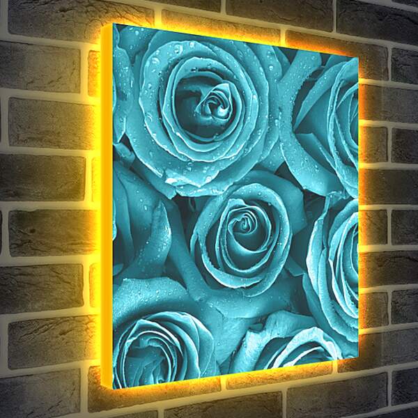 Лайтбокс световая панель - Голубые розы