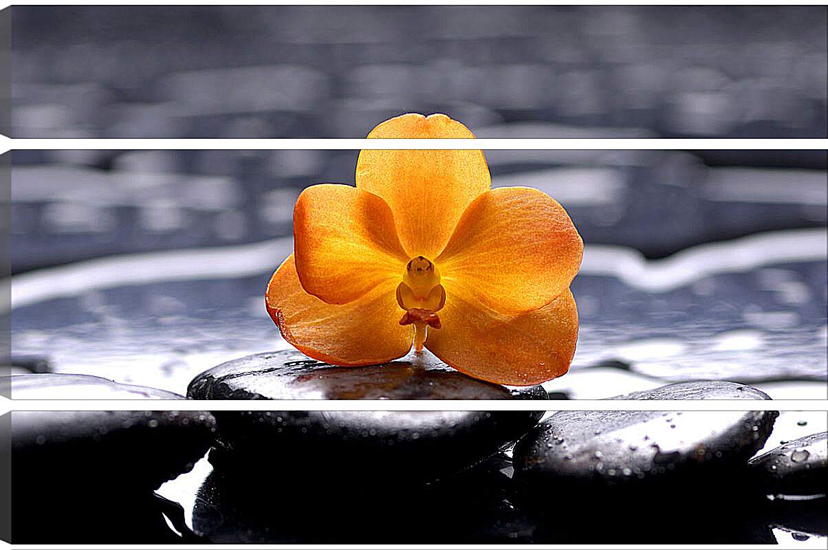 Модульная картина - Жёлтая орхидея