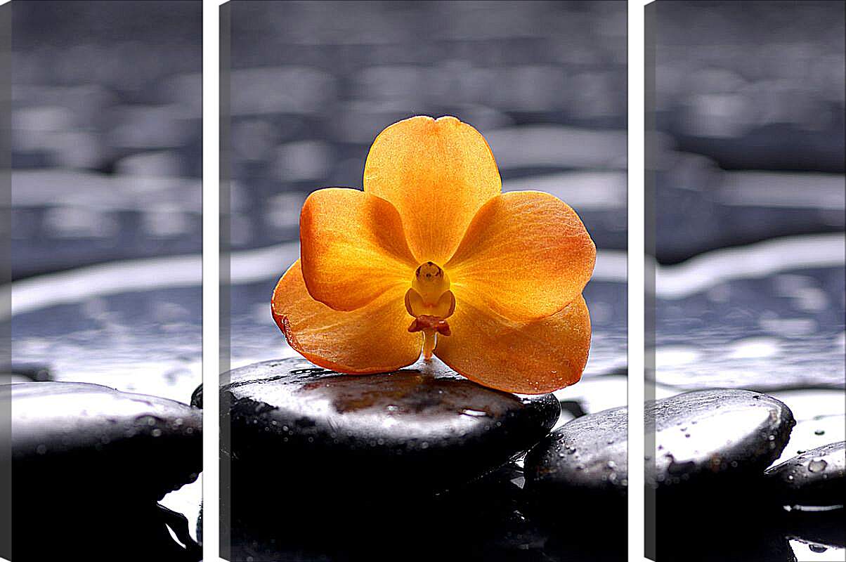 Модульная картина - Жёлтая орхидея