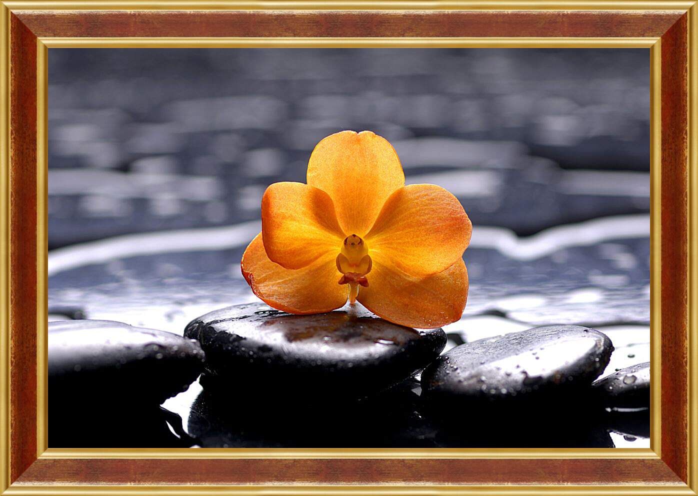 Картина в раме - Жёлтая орхидея