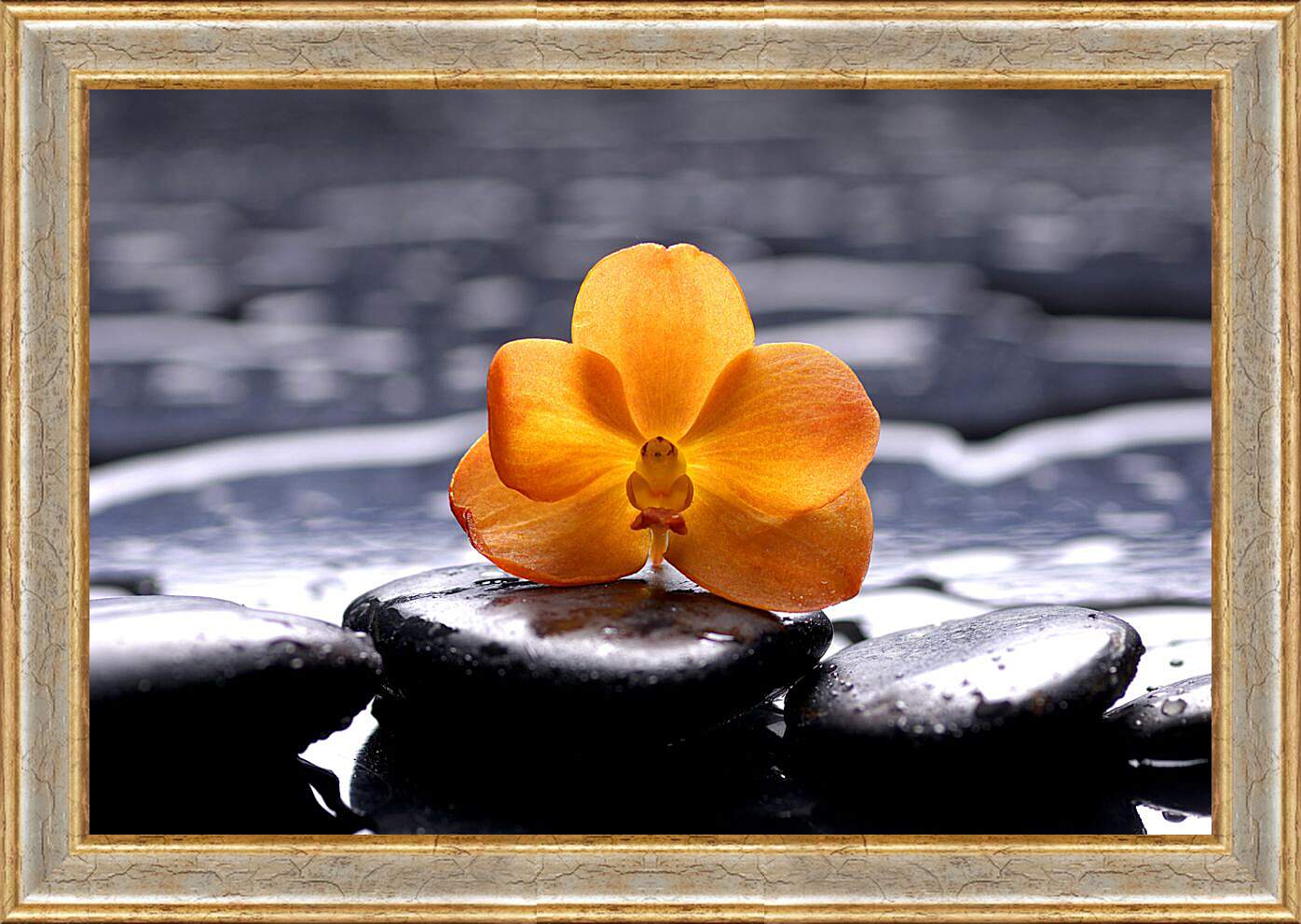 Картина в раме - Жёлтая орхидея