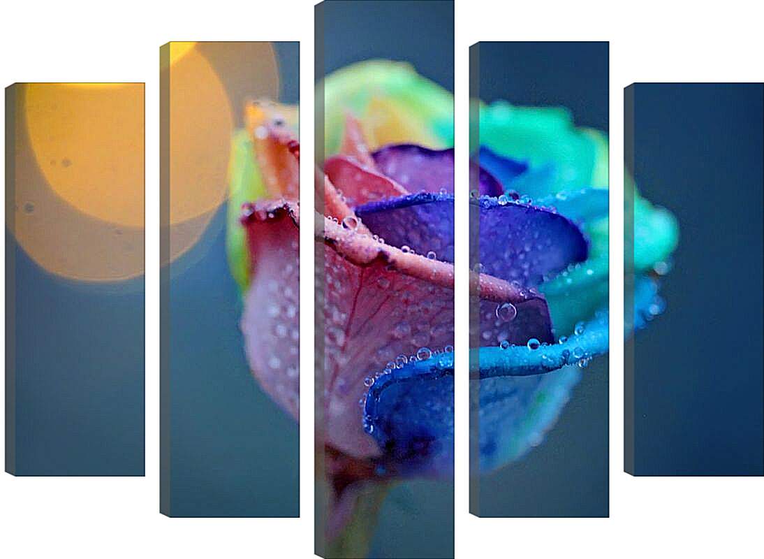 Модульная картина - Цветная роза