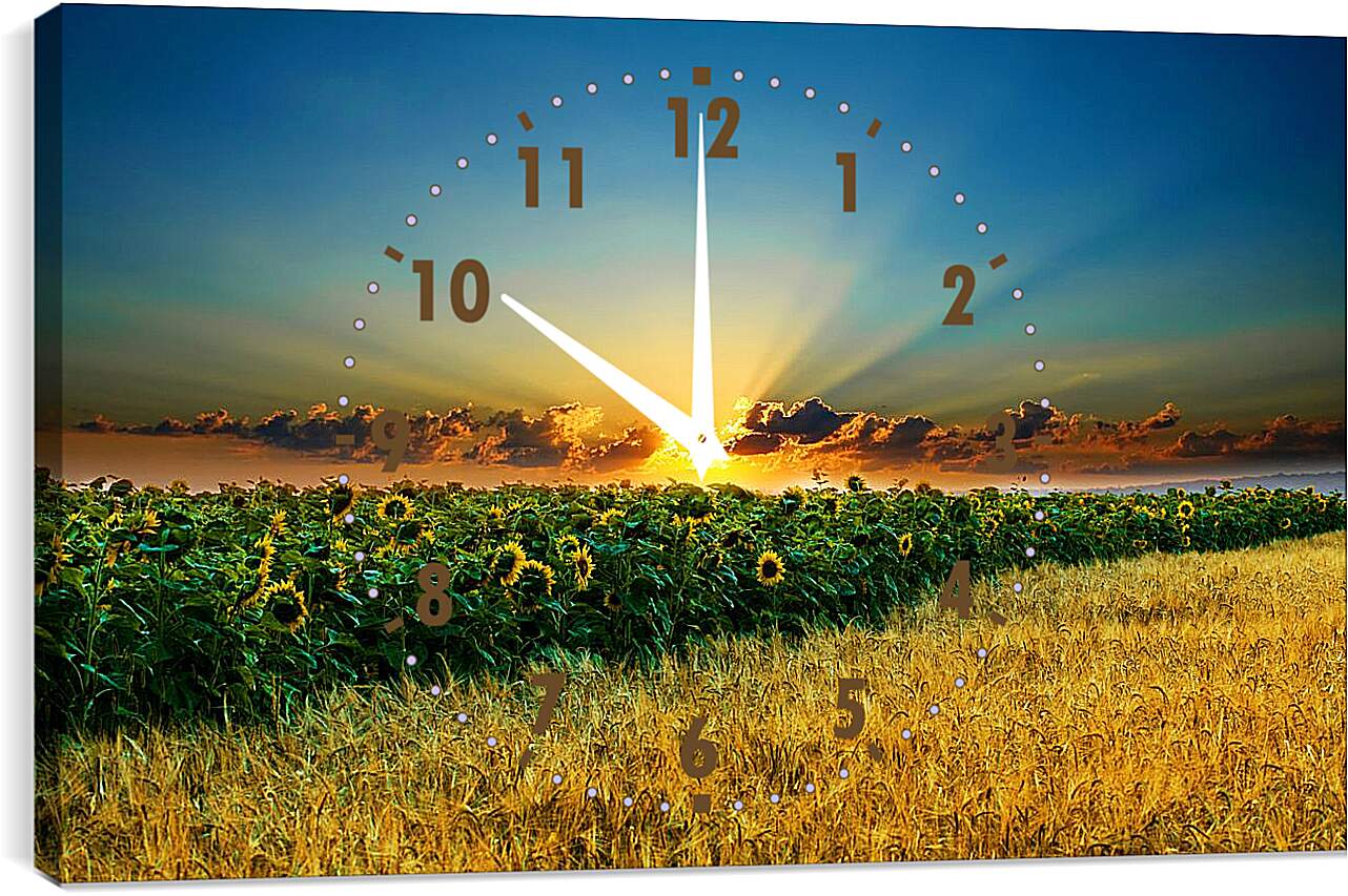Часы картина - Закт над полем подсолнухов