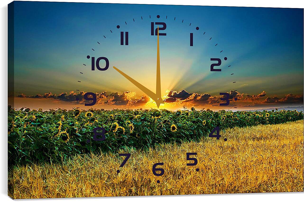 Часы картина - Закт над полем подсолнухов