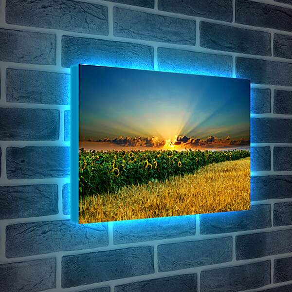 Лайтбокс световая панель - Закт над полем подсолнухов