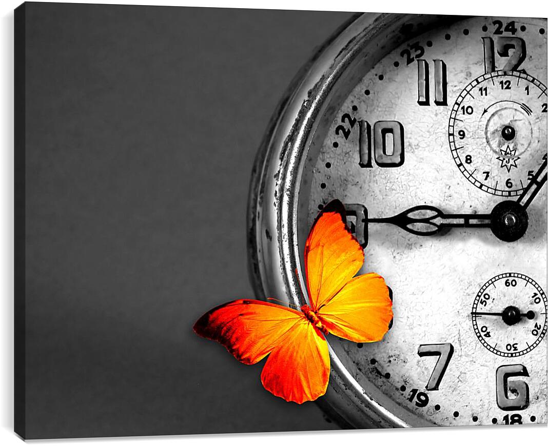 Постер и плакат - Часы и бабочка