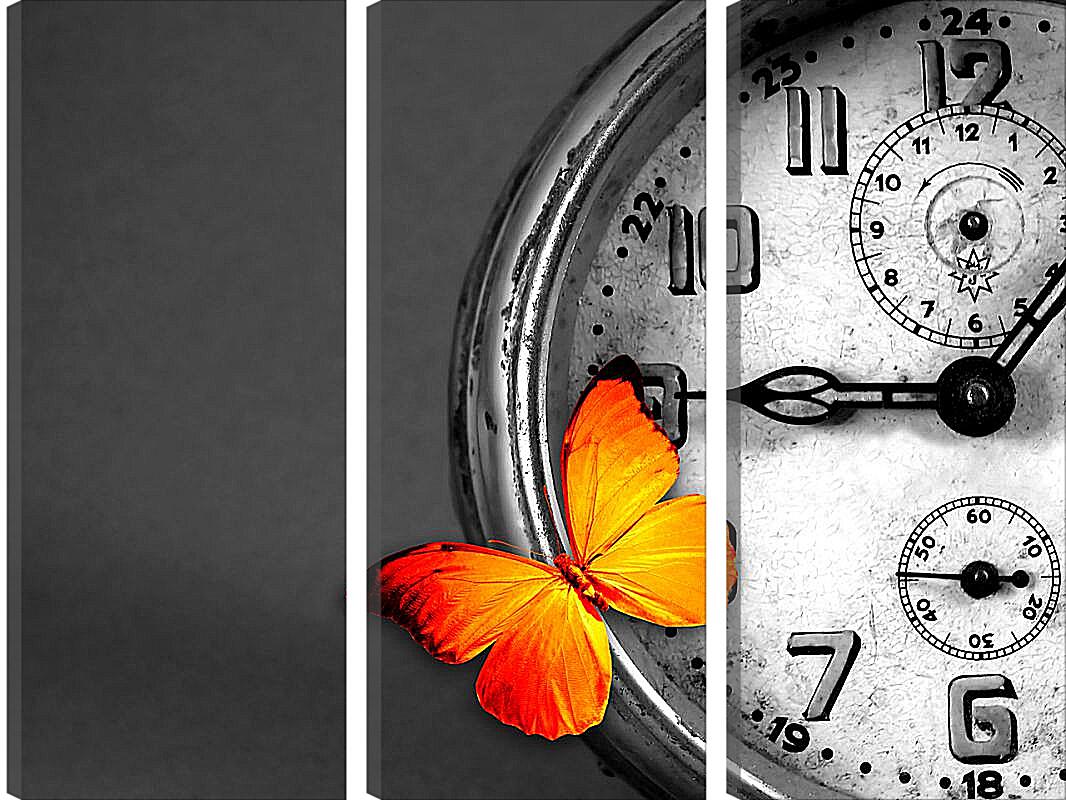 Модульная картина - Часы и бабочка