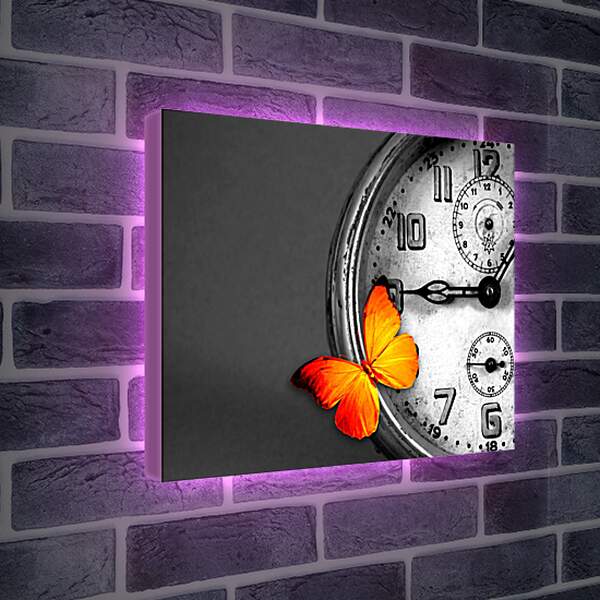 Лайтбокс световая панель - Часы и бабочка