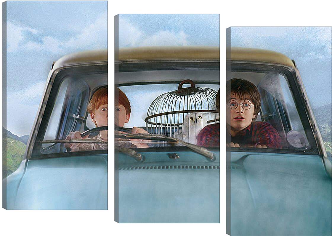 Модульная картина - Harry Potter and the Chamber of Secrets