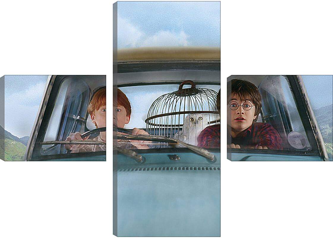 Модульная картина - Harry Potter and the Chamber of Secrets