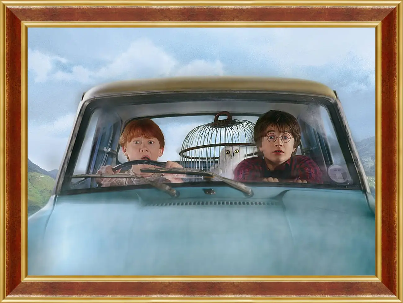 Картина в раме - Harry Potter and the Chamber of Secrets